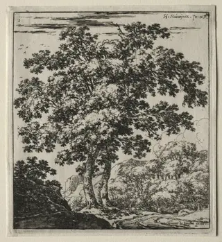 Les deux grands arbres au bord du chemin, by Herman Naiwincx, 1646