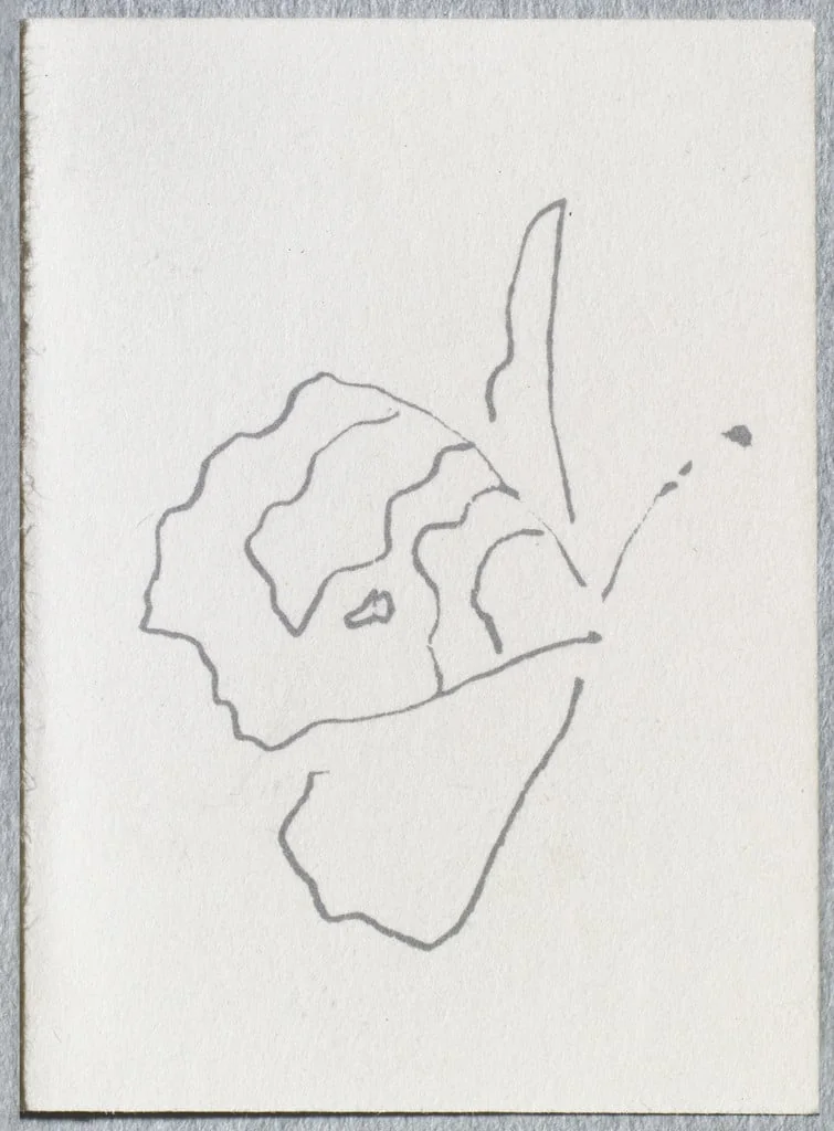 Untitled, detail