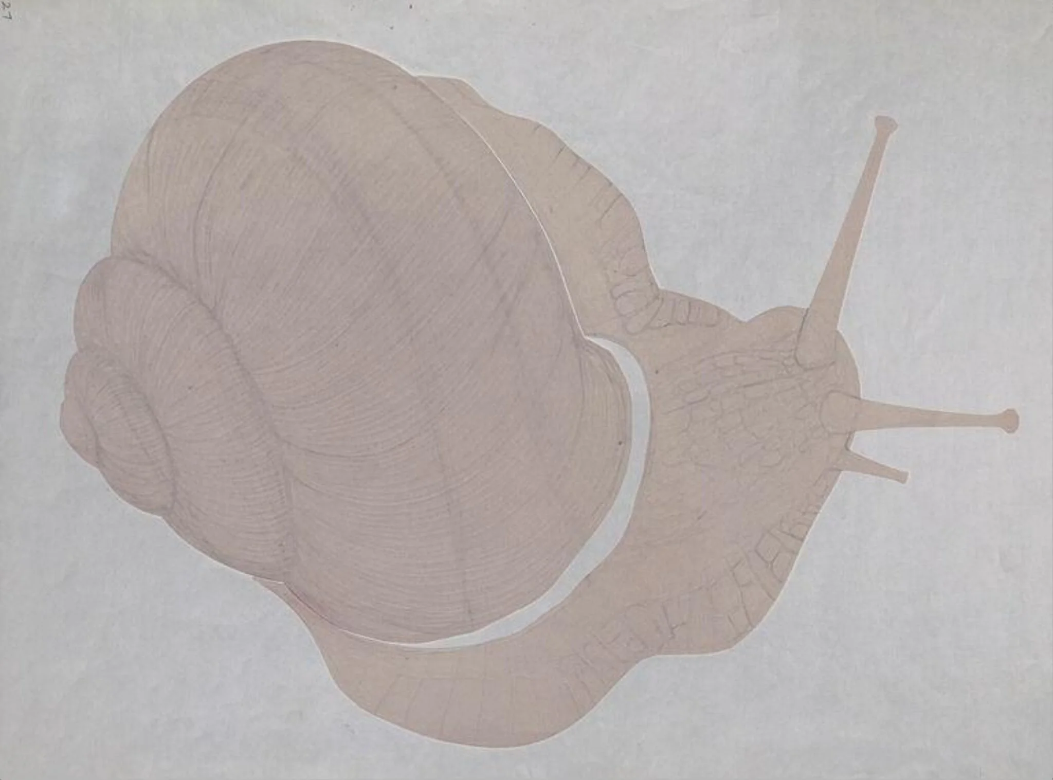 Untitled, detail