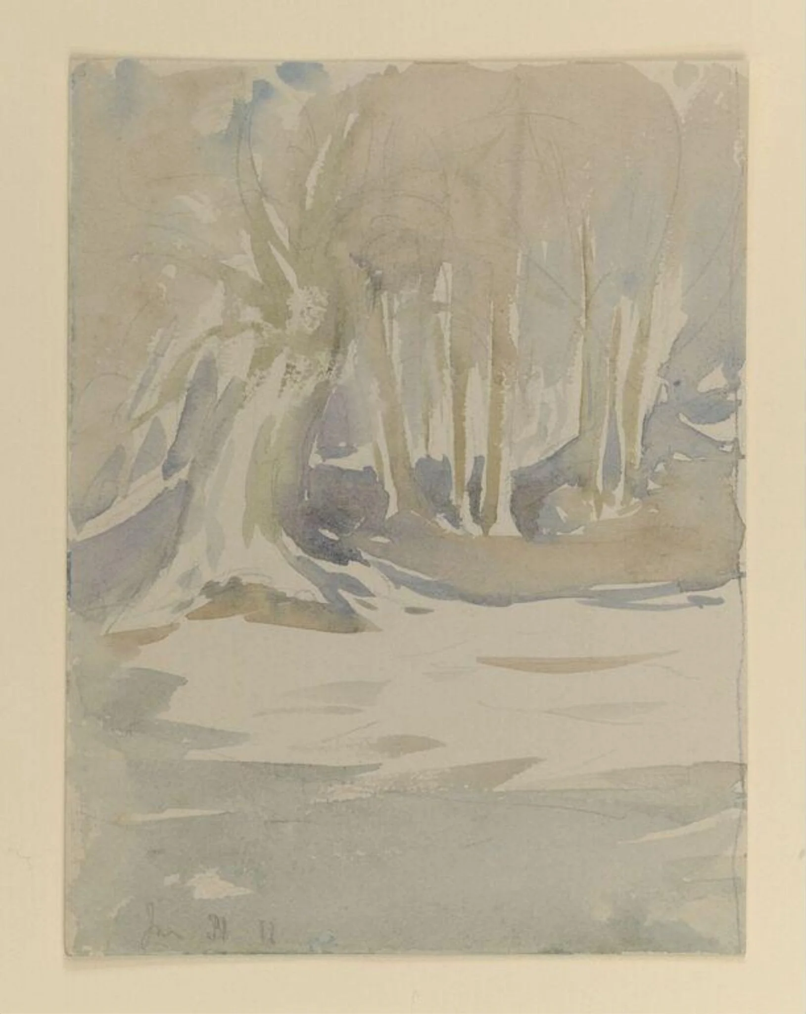A clearing under snow, detail