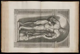 The Farnese Hercules, by Jacob Bos, ink, 1562