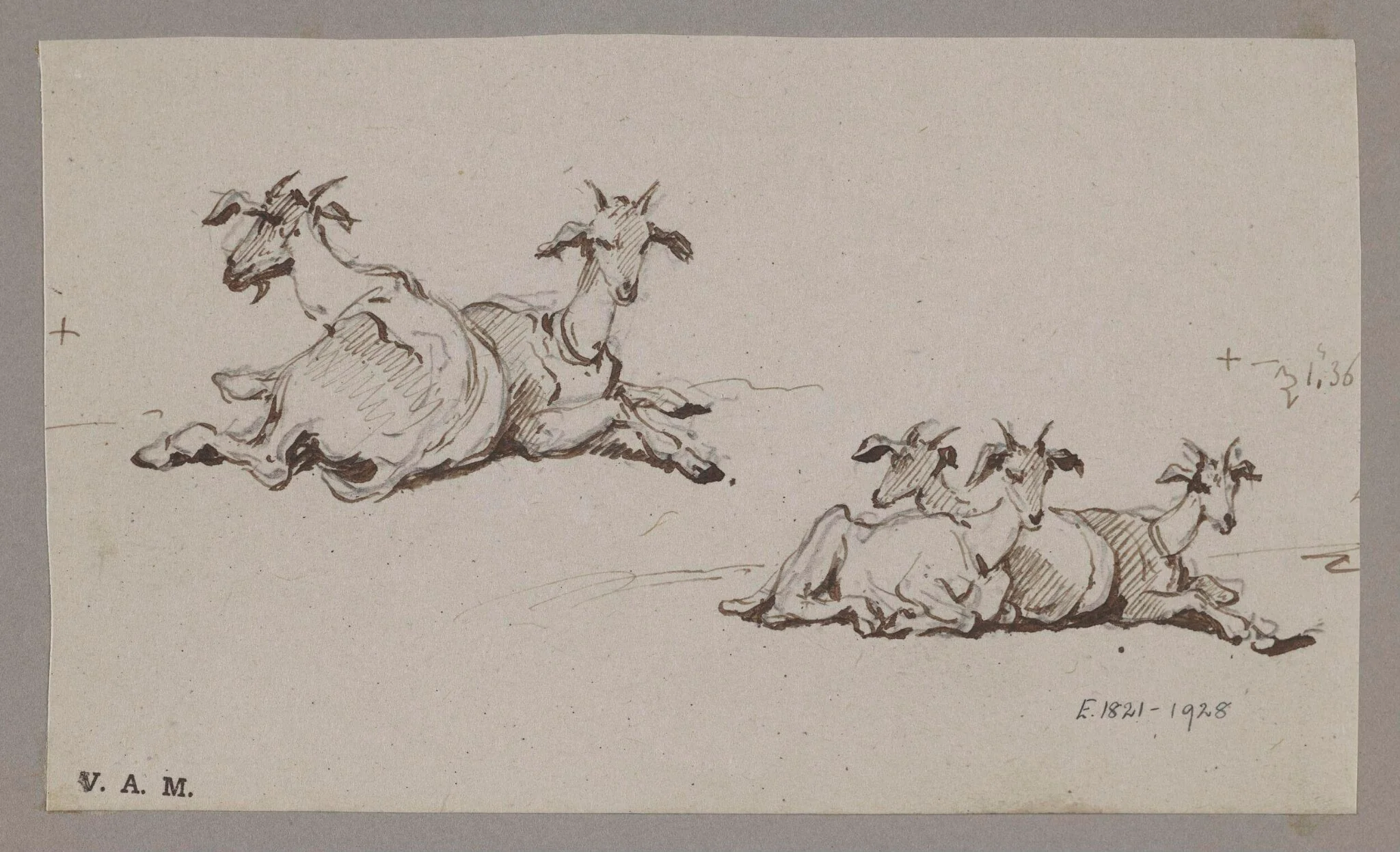 Two groups of goats, detail