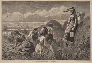 Gathering Berries, by Lagarde, ink, 1874