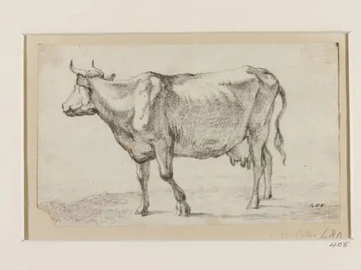 Cow Facing Left, with its Head Raised and Looking Up to the Right, by Paulus Potter, 1650