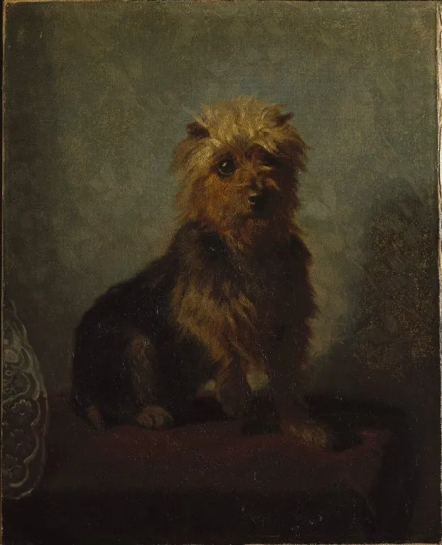 Chadwick's Dog, by Abbott Handerson Thayer, oil, 1874