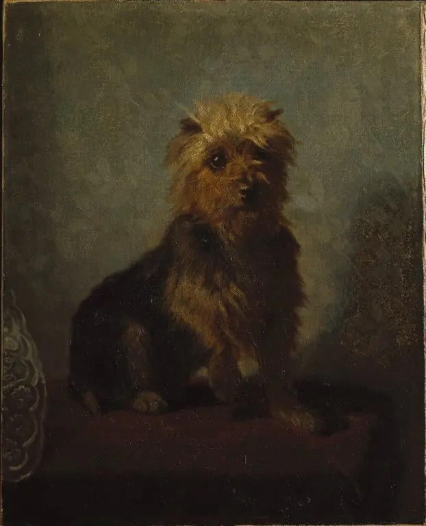 Chadwick's Dog, by Abbott Handerson Thayer