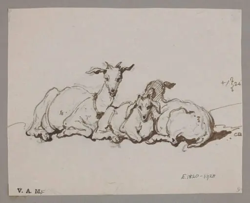 Two goats and a kid, by George Chinnery, 16