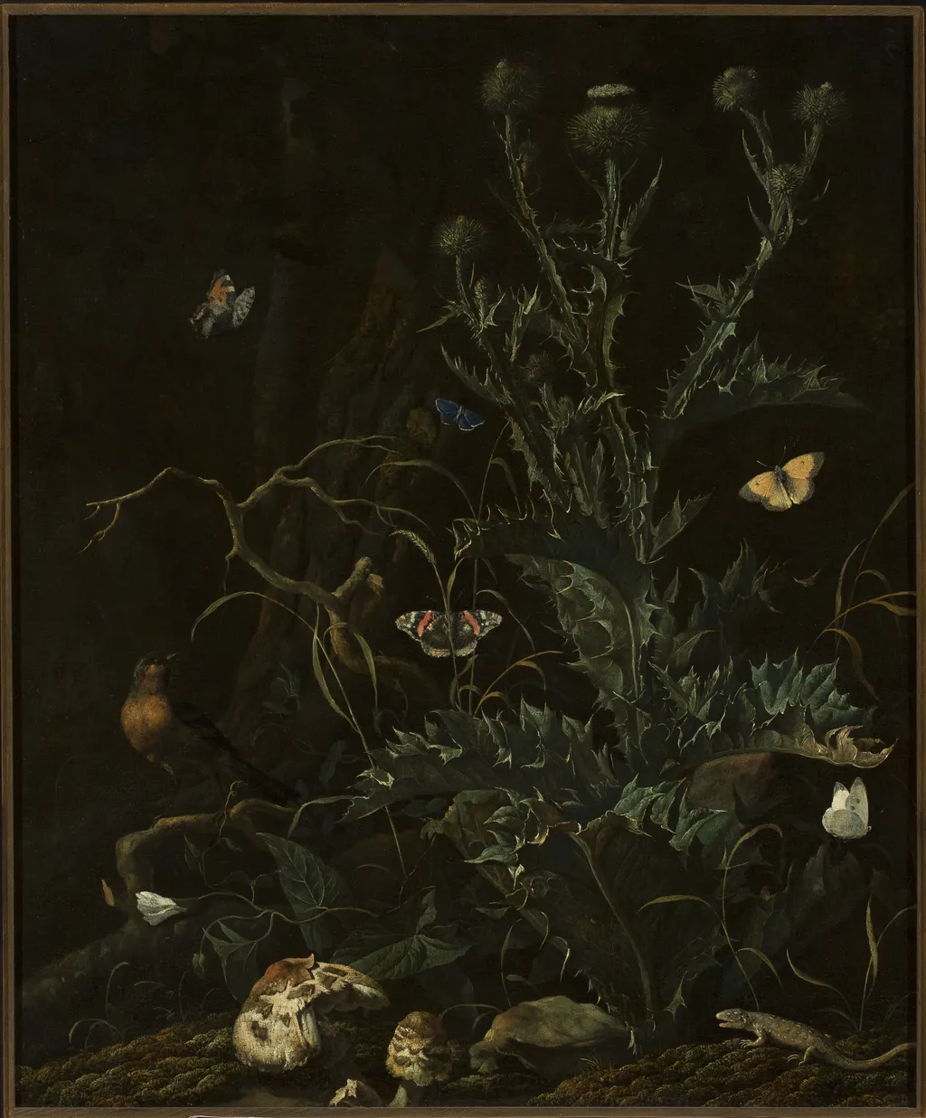 Thistles, butterflies and a lizard, by Abraham Begeyn, oil, 1677
