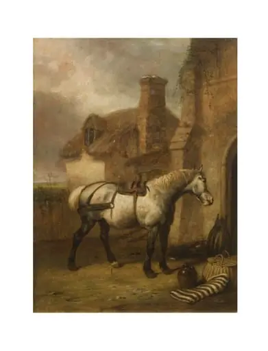 A Grey horse at a stable door