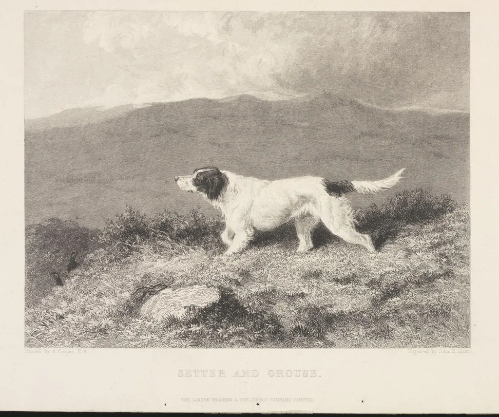 Setter and Grouse, by Abraham Cooper, 1850