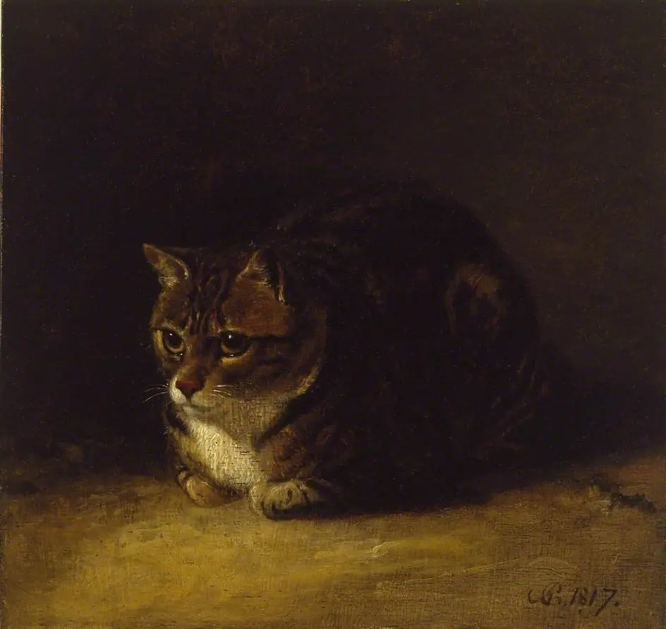 Study of a Cat, by Abraham Cooper