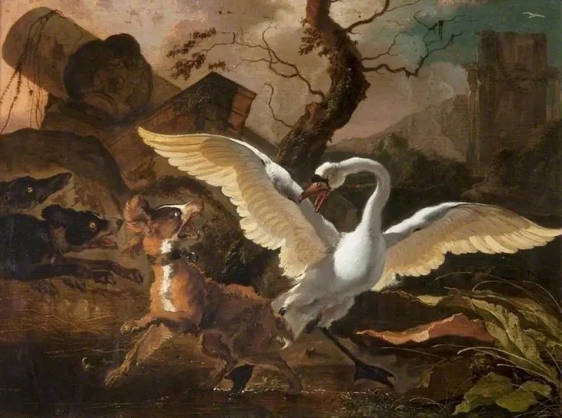 A Swan Enraged by Dogs, by Abraham Hondius