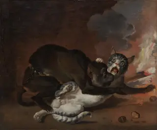 The Monkey and the Cat