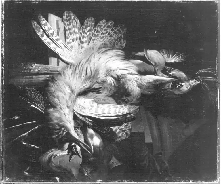 Jagdbeute mit Rohrdommel und weiteren Vögeln, by Abraham Mignon