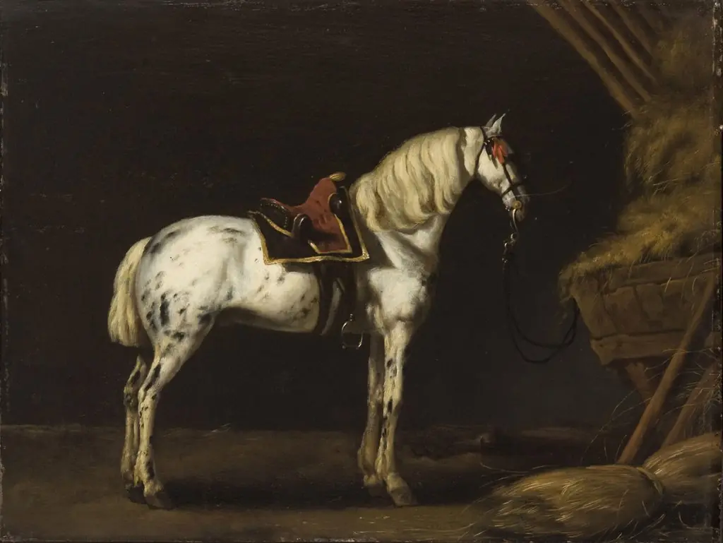 White Horse in a Stable, by Abraham van Calraet