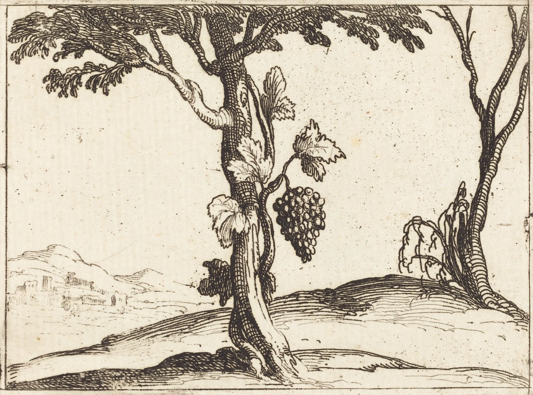 Bunch of Grapes, detail