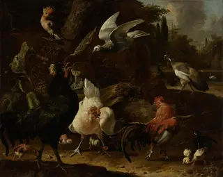 Birds in a park, by Melchior d' Hondecoeter, oil, 1694