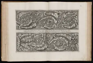 Acanthus Scrolls