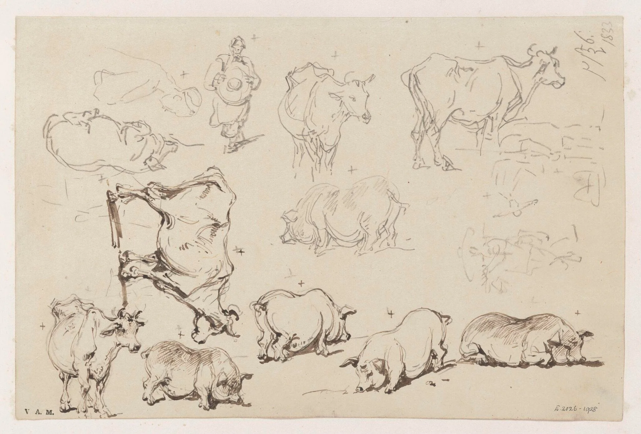 Untitled, detail