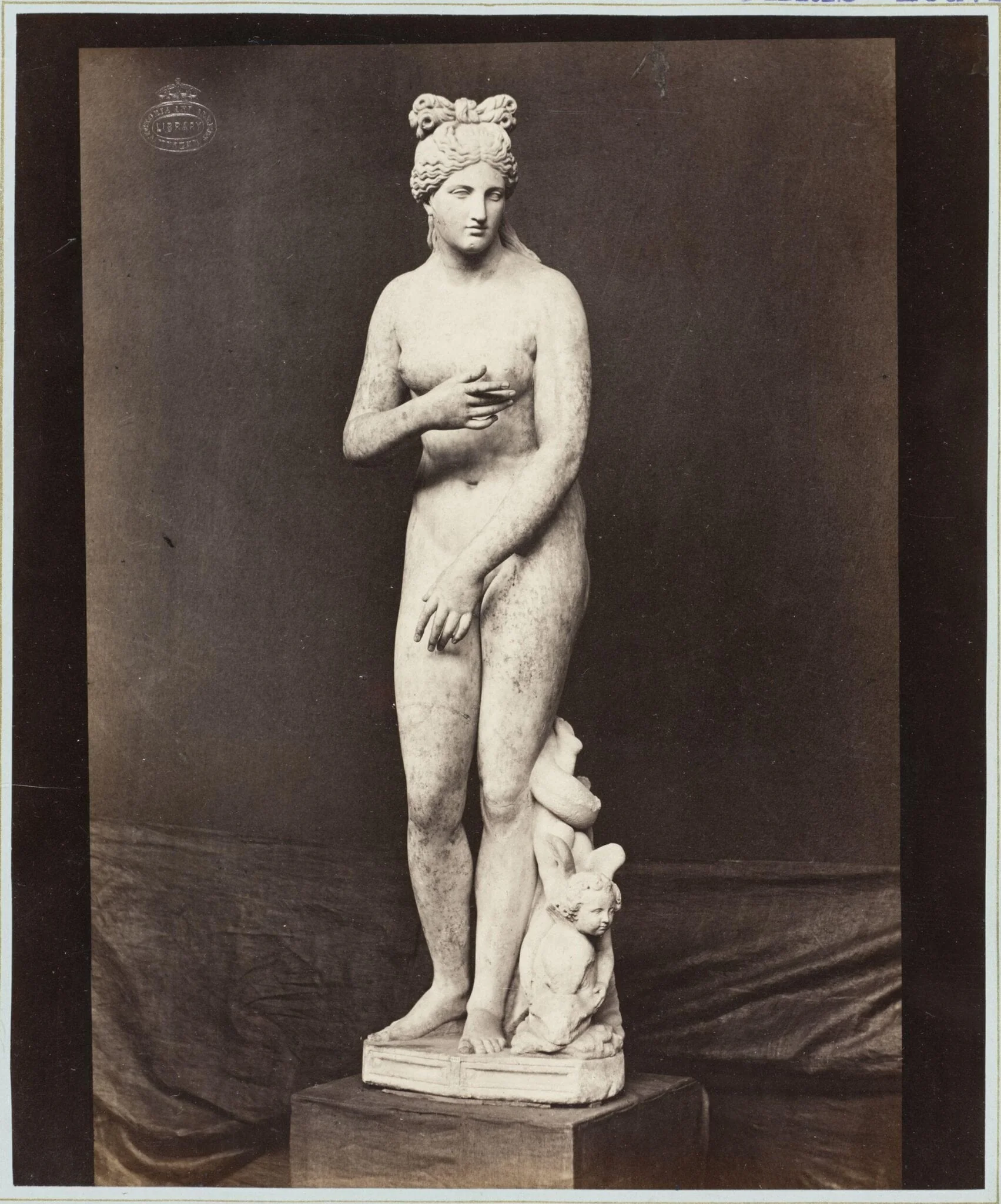 Marble Statue of Venus de Medici, detail