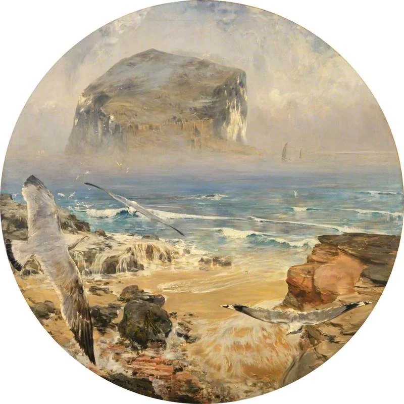 The Bass Rock, detail