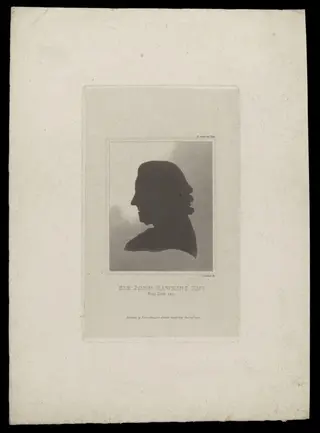 H Beard Print Collection, by Lambert, 20
