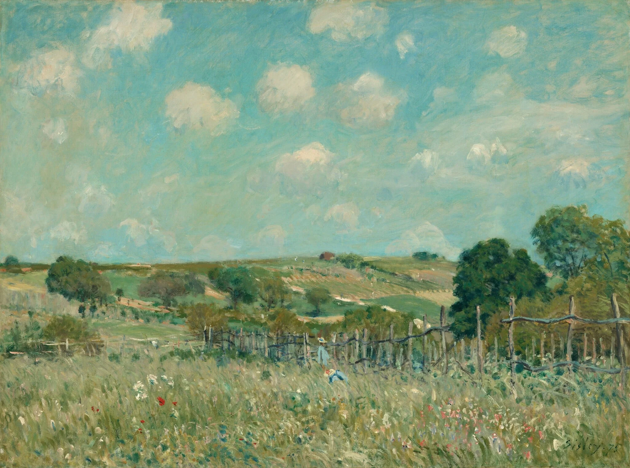 Meadow, detail