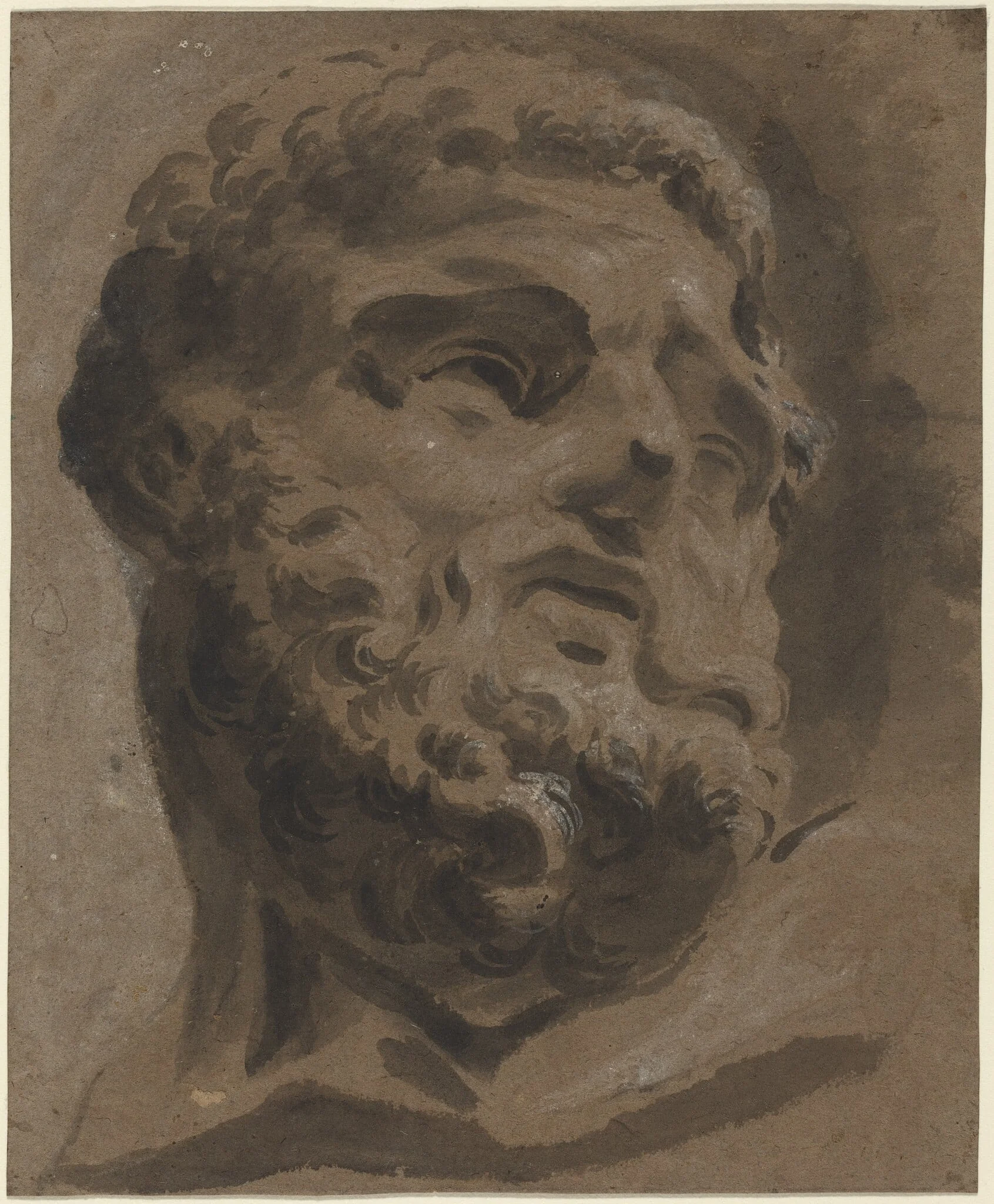 Bearded Head after the Antique, detail