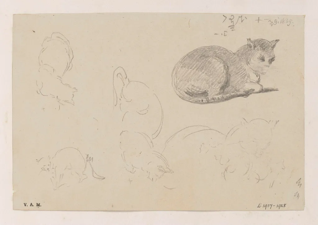 A cat, with related sketches, by George Chinnery, 10