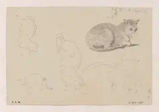 A cat, with related sketches, by George Chinnery, 10