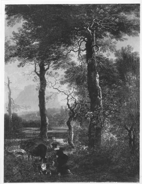 Landschaft mit hochstämmigen Bäumen, by Adam Pynacker