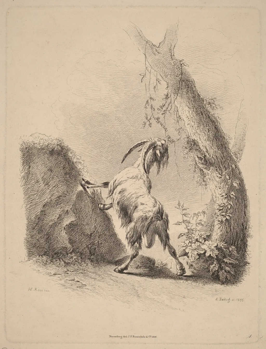Goat in a Landscape, by Adam von Bartsch, ink, 1805