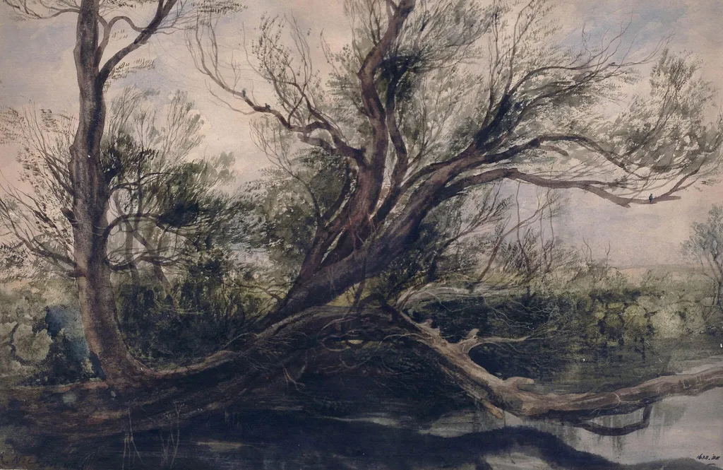 Study of a willow tree overhanging water, near Ball's Bridge, Dublin, by Andrew Nicholl, watercolor, 1857