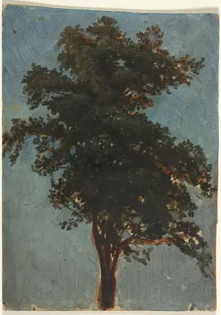 Tree Study, by Alexandre Calame, 1844