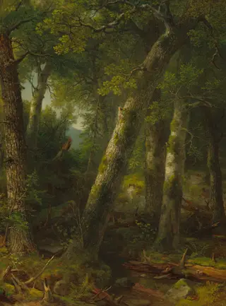 Forest in the Morning Light, by Asher Brown Durand, oil, 1855