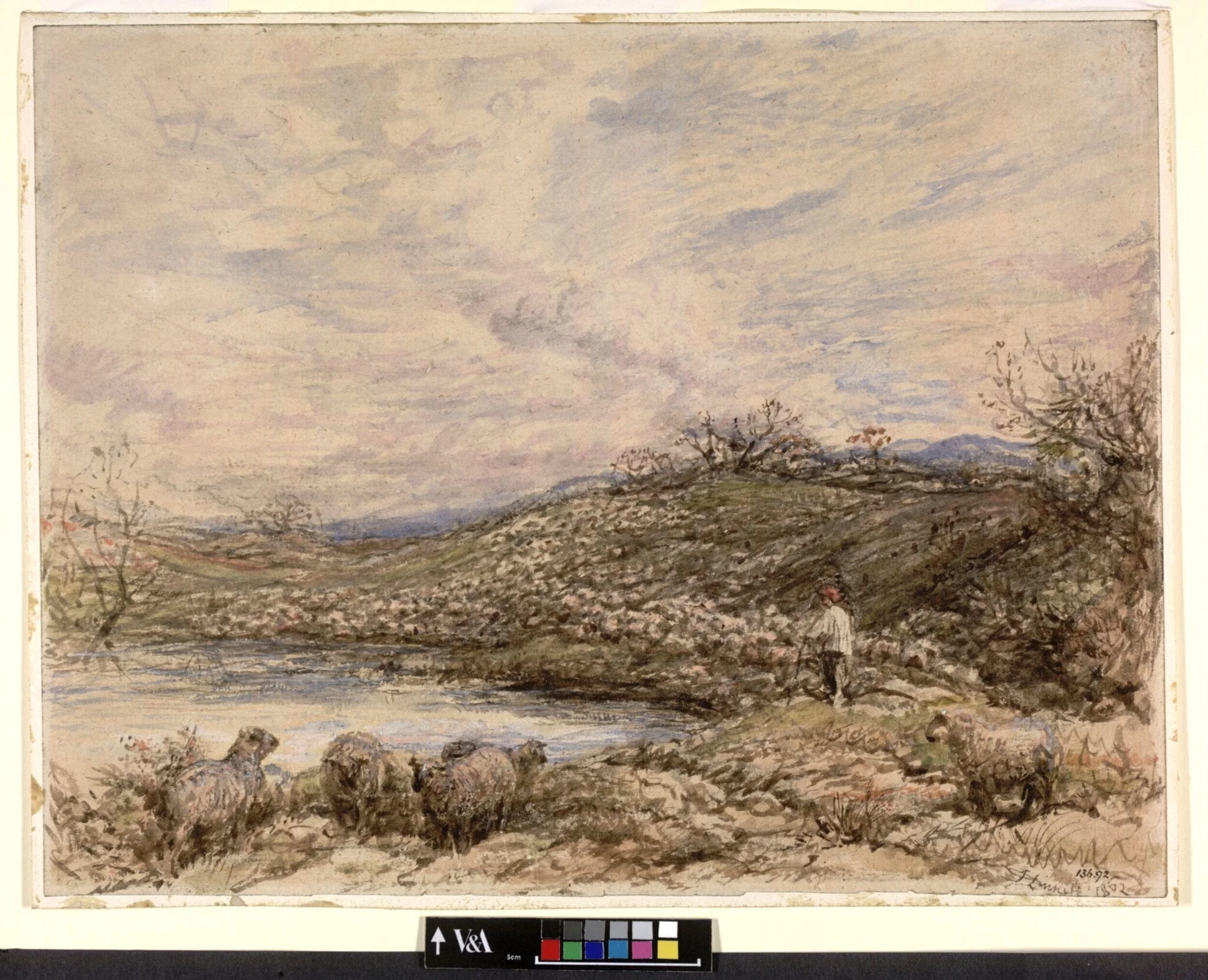 Collecting the Flock, detail