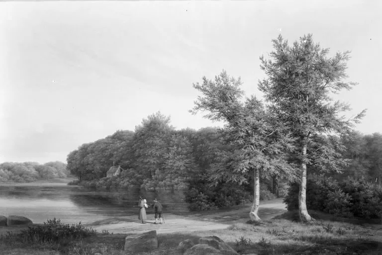 Woodscape near Hellebæk, by Adolf Carl, oil, 1834