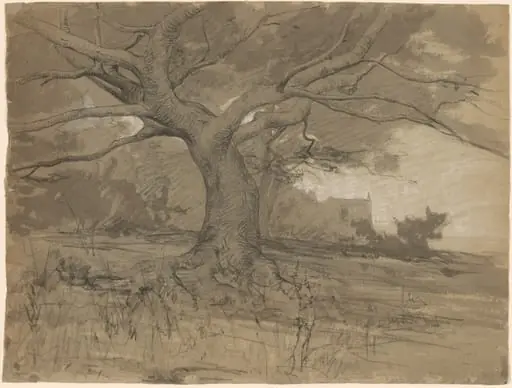 A Great Beech Tree at the Edge of a Wood, by Adolphe Appian