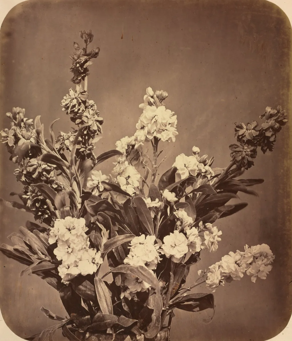 Bouquet, by Adolphe Braun, 1855