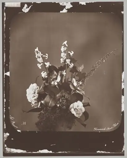 Untitled (flower arrangement), by Adolphe Braun