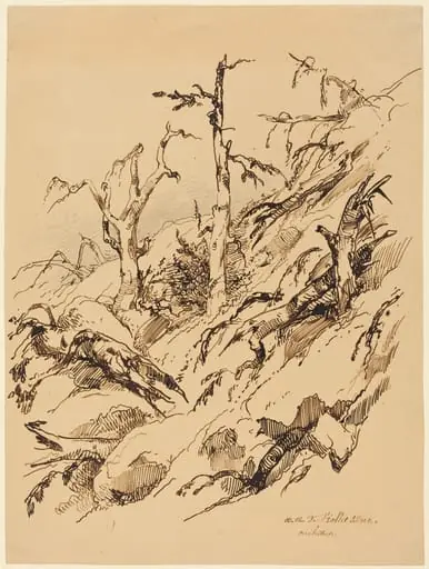 A Rocky Hillside with Dead and Dying Trees, by Adolphe Etienne Viollet-Le-Duc II