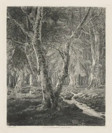 Bois de Pierrefonds, by Adolphe Martial-Potémont