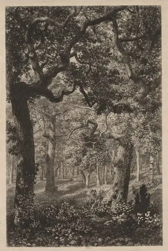 In the Woods, by Adolphe Martial-Potémont