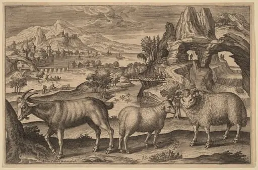 A Goat, a Ewe, and a Ram, by Adriaen Collaert