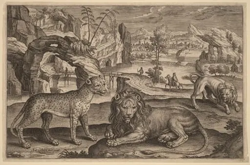 A Leopard and Two Lions, by Adriaen Collaert