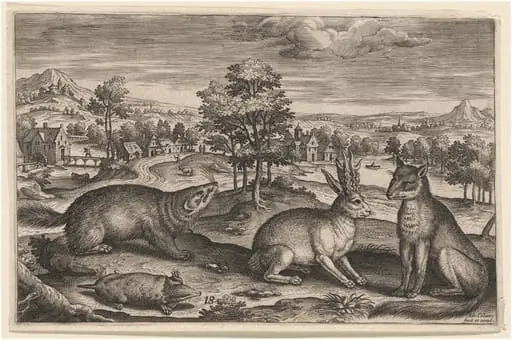 A Mole, a Badger, a Horned Hare and a Fox, by Adriaen Collaert