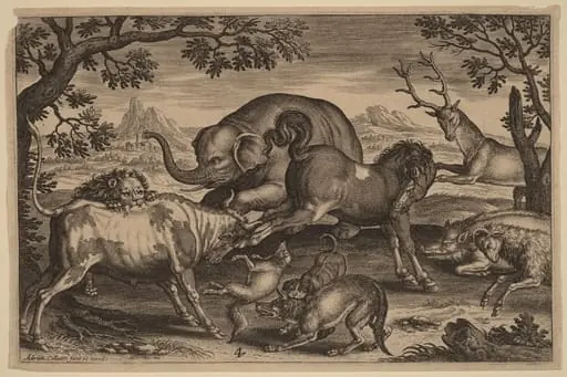 Lion, Bull, Fox, Wolf, Dog, Boar, Goat, Horse, Elephant and Deer, by Adriaen Collaert