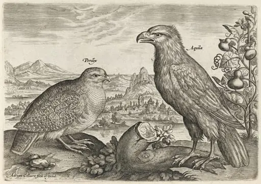 Partridge and Eagle, by Adriaen Collaert