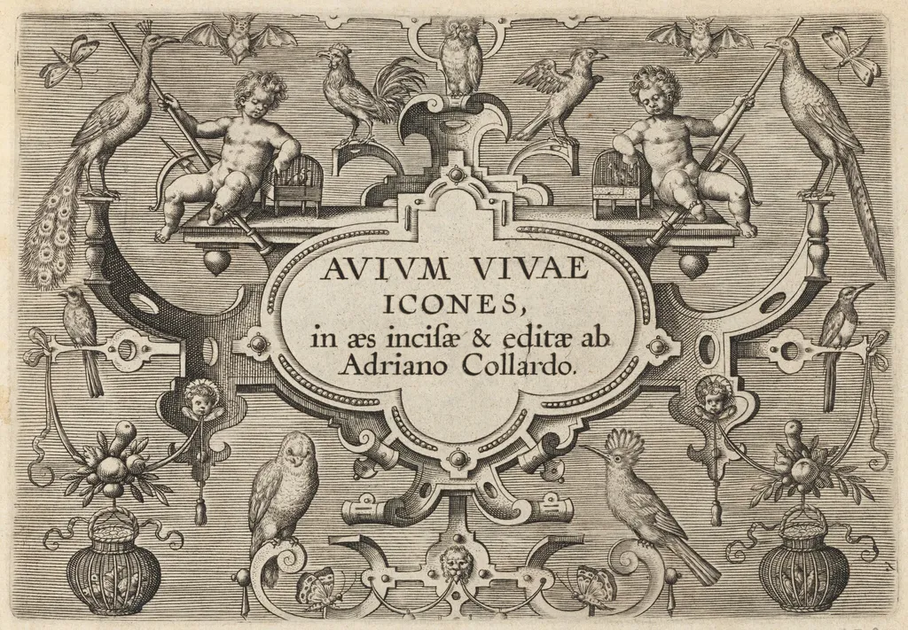 Title Page, by Adriaen Collaert, ink, 1600