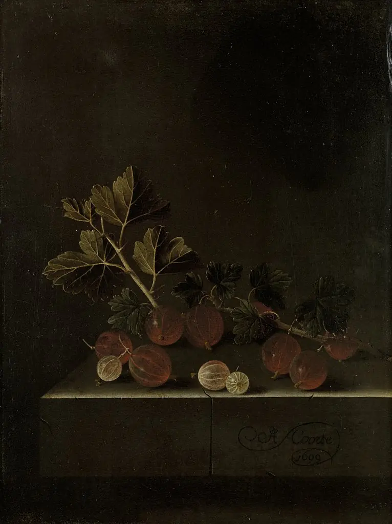 Een takje kruisbessen op een stenen plint, by Adriaen Coorte